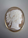 Mid-Century 9 Carat Gold Bullmouth Shell Cameo Brooch (Artist Signed). - Harrington Antiques