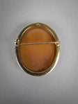 Mid-Century 9 Carat Gold Bullmouth Shell Cameo Brooch (Artist Signed). - Harrington Antiques