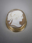 Mid-Century 9 Carat Gold Bullmouth Shell Cameo Brooch (Artist Signed). - Harrington Antiques