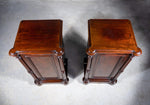 Pair Of 19th Century Mahogany Pedestal Cupboards - Harrington Antiques