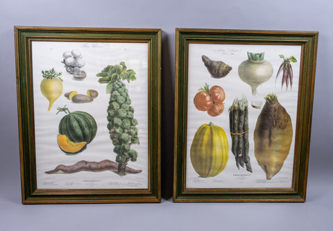 Pair of Vilmorin Andrieux, Paris Framed Prints - No. 12 (1869) & No. 15 (1864) - Harrington Antiques