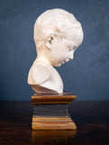 Plaster Bust Of Infant On Giltwood Plinth - Harrington Antiques