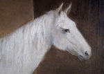 Portrait Of A White Horse In Stable, Signed & Dated 'R. Cooper, 1849'. Oil On Canvas. - Harrington Antiques