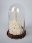 Unusual 19th Century Wax Work Diorama In Original Glass Dome - Harrington Antiques