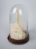 Unusual 19th Century Wax Work Diorama In Original Glass Dome - Harrington Antiques