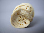 Vintage Finely Carved Signed Bone Memento Mori Netsuke Of Skull & Snake. - Harrington Antiques