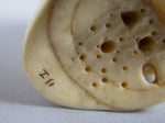 Vintage Finely Carved Signed Bone Memento Mori Netsuke Of Skull & Snake. - Harrington Antiques